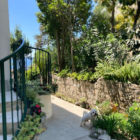 Apartments Milicevic Χέρτσεγκ Νόβι Εξωτερικό φωτογραφία
