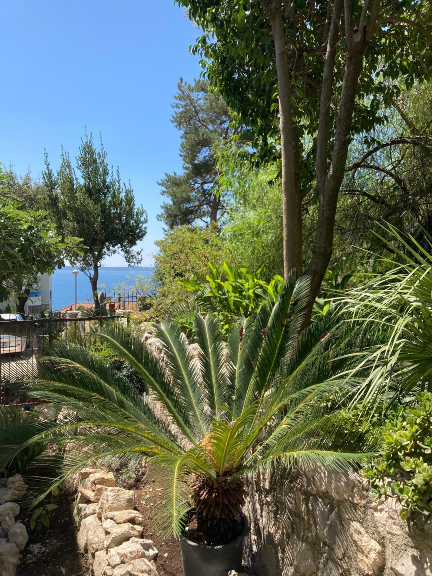 Apartments Milicevic Χέρτσεγκ Νόβι Εξωτερικό φωτογραφία
