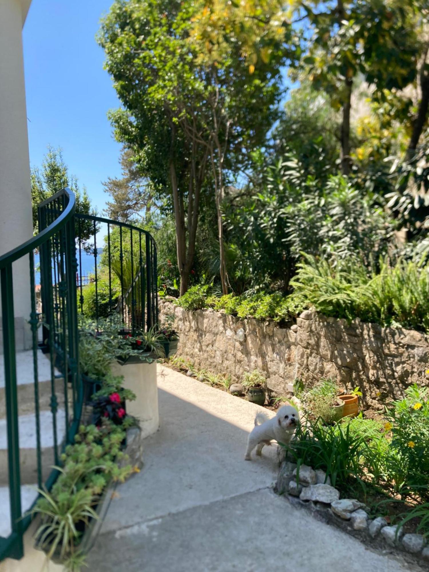 Apartments Milicevic Χέρτσεγκ Νόβι Εξωτερικό φωτογραφία
